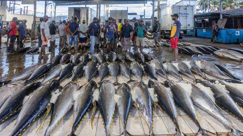 WhatsApp Image 2025-08-21 at 12.54.10 (1).jpeg